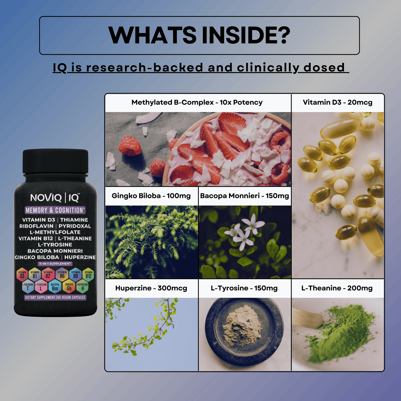 Memory & Cognition Support - NOVIQ