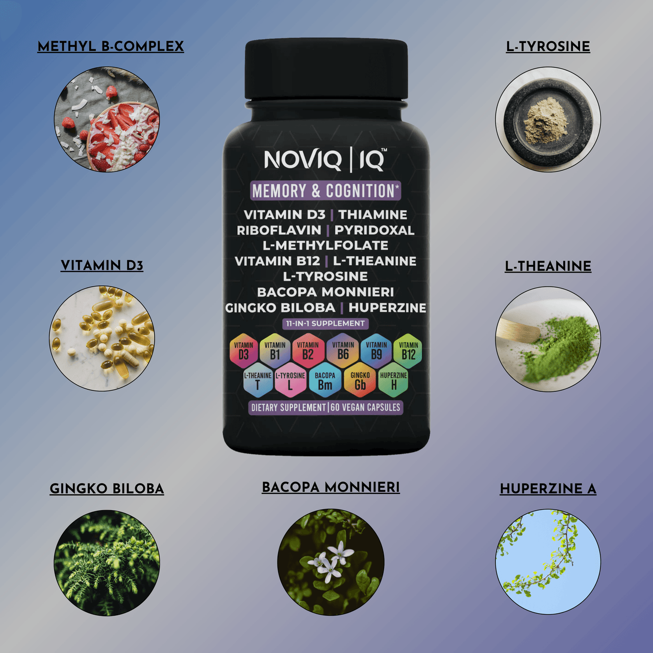 Memory & Cognition Support - NOVIQ
