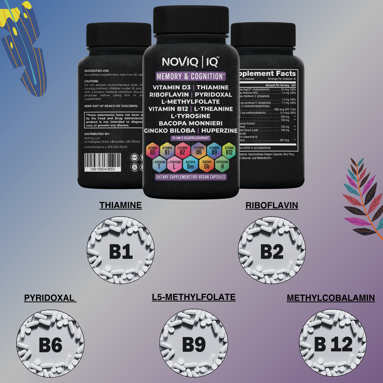 Memory & Cognition Support