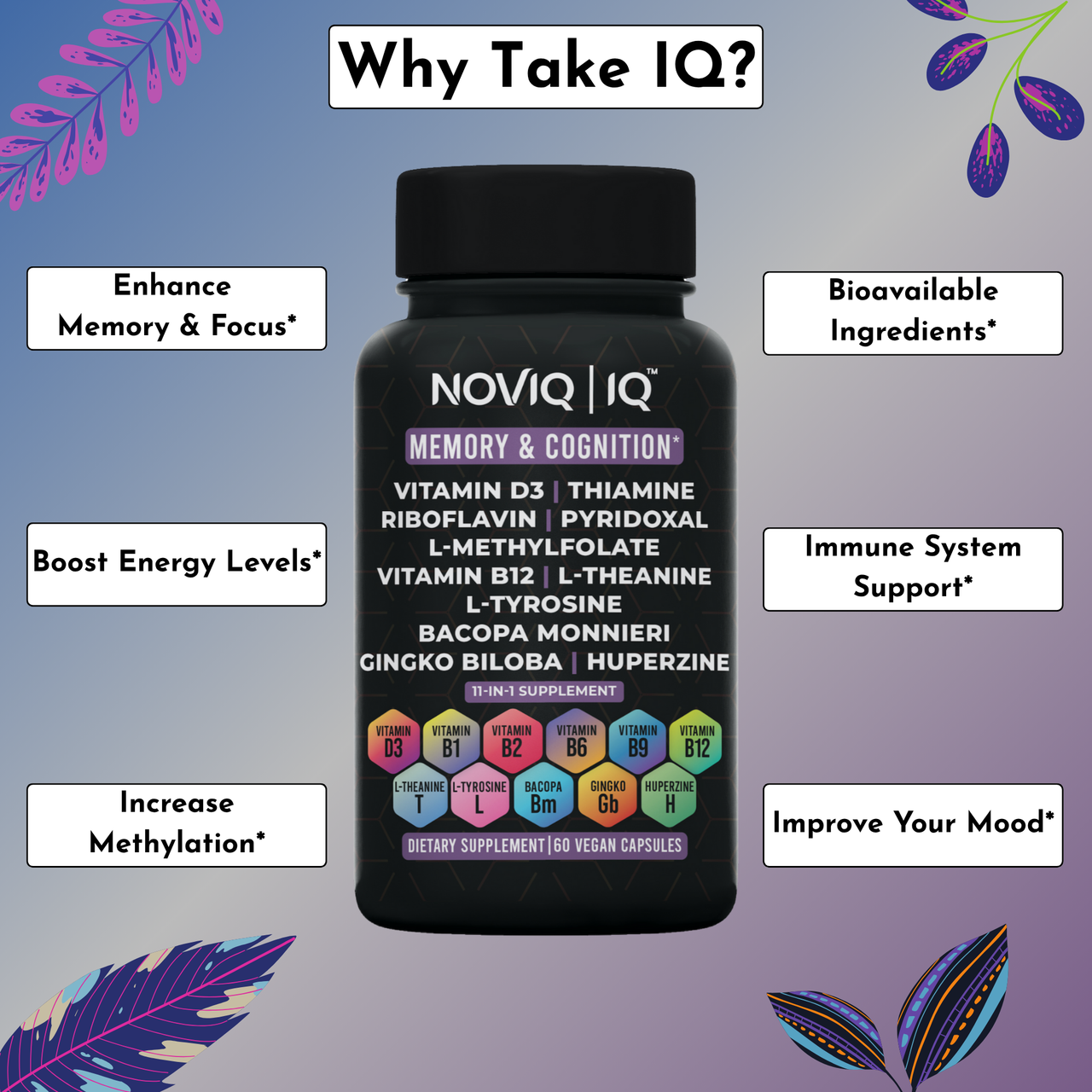 Memory & Cognition Support